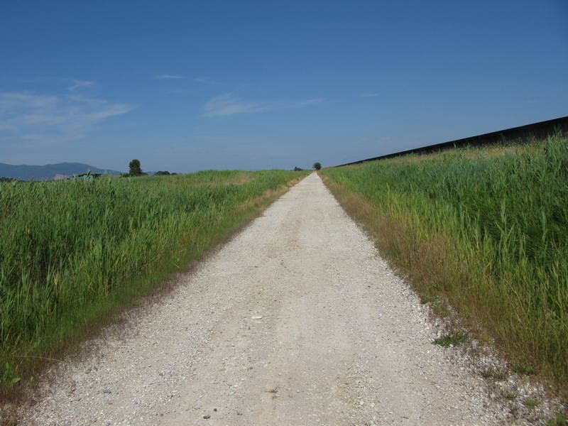strada bianca