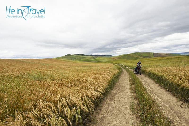 frumento e ciclista gravina