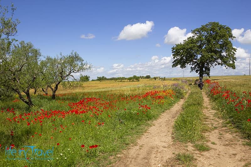 solitudine e natura