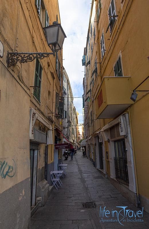taggia
