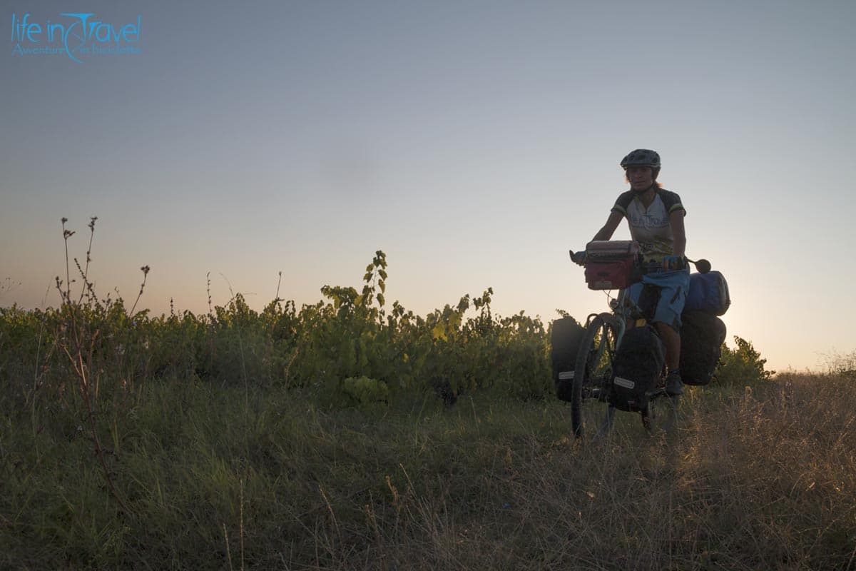 09 pedalando tra le vigne