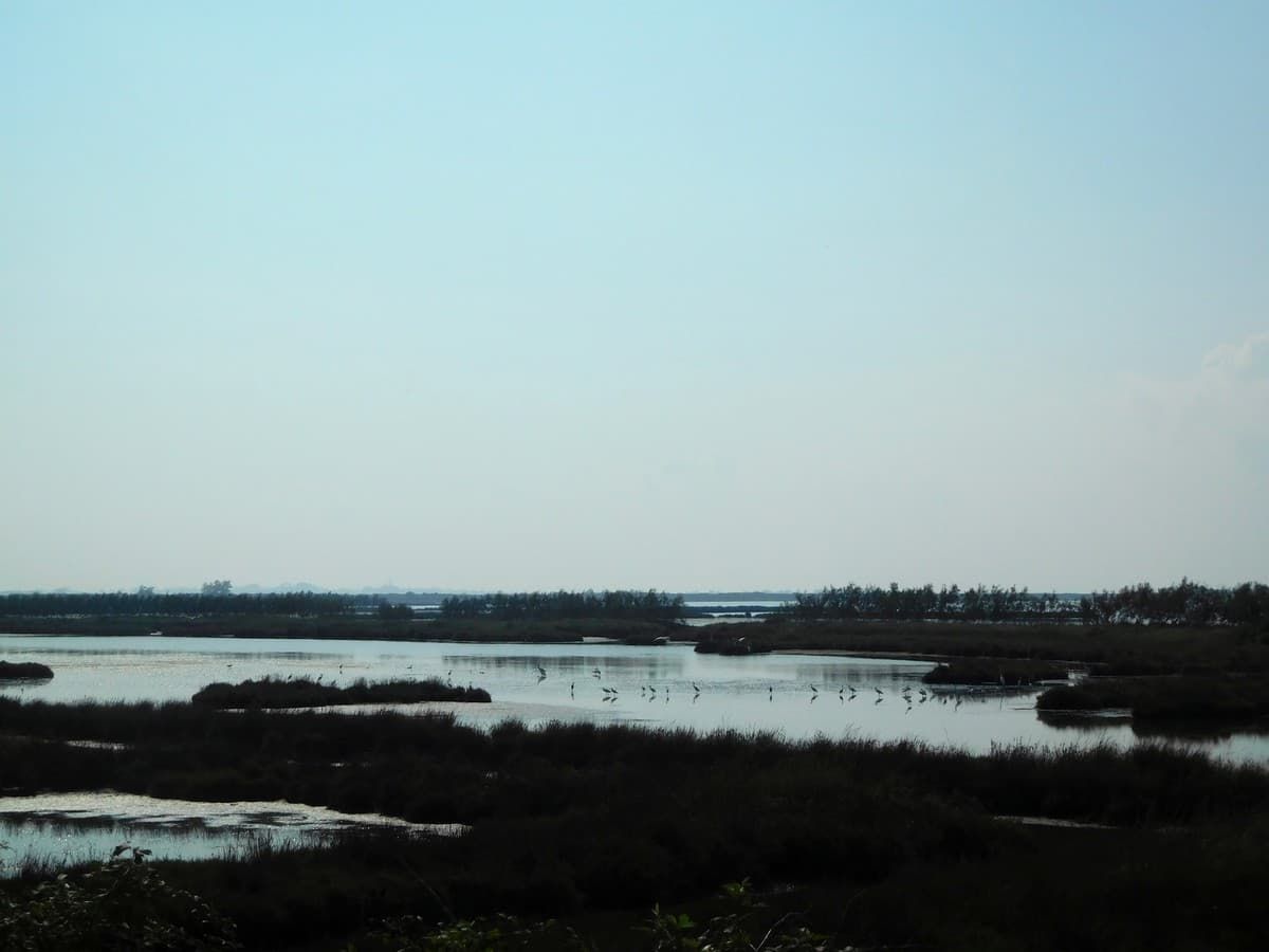 Delta del PO