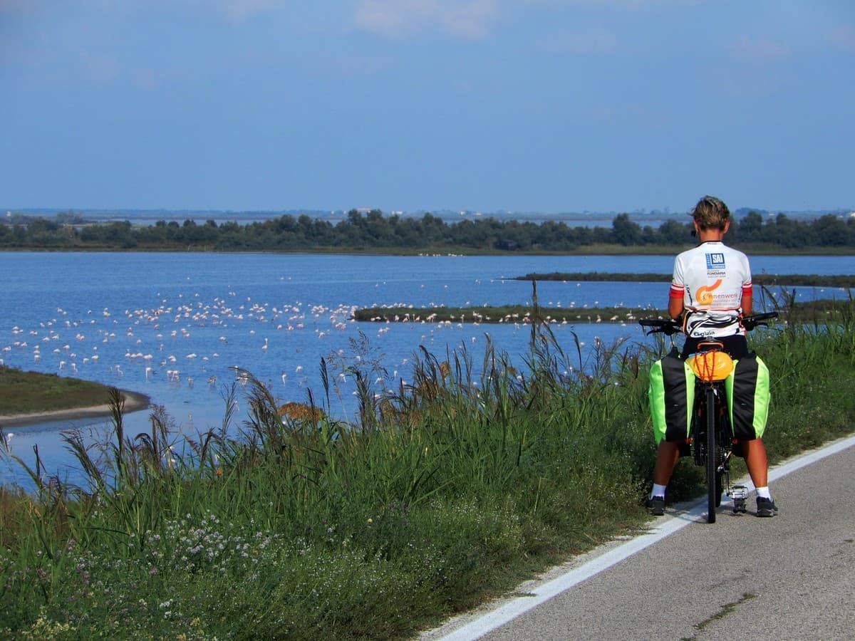 Valli di Comacchio