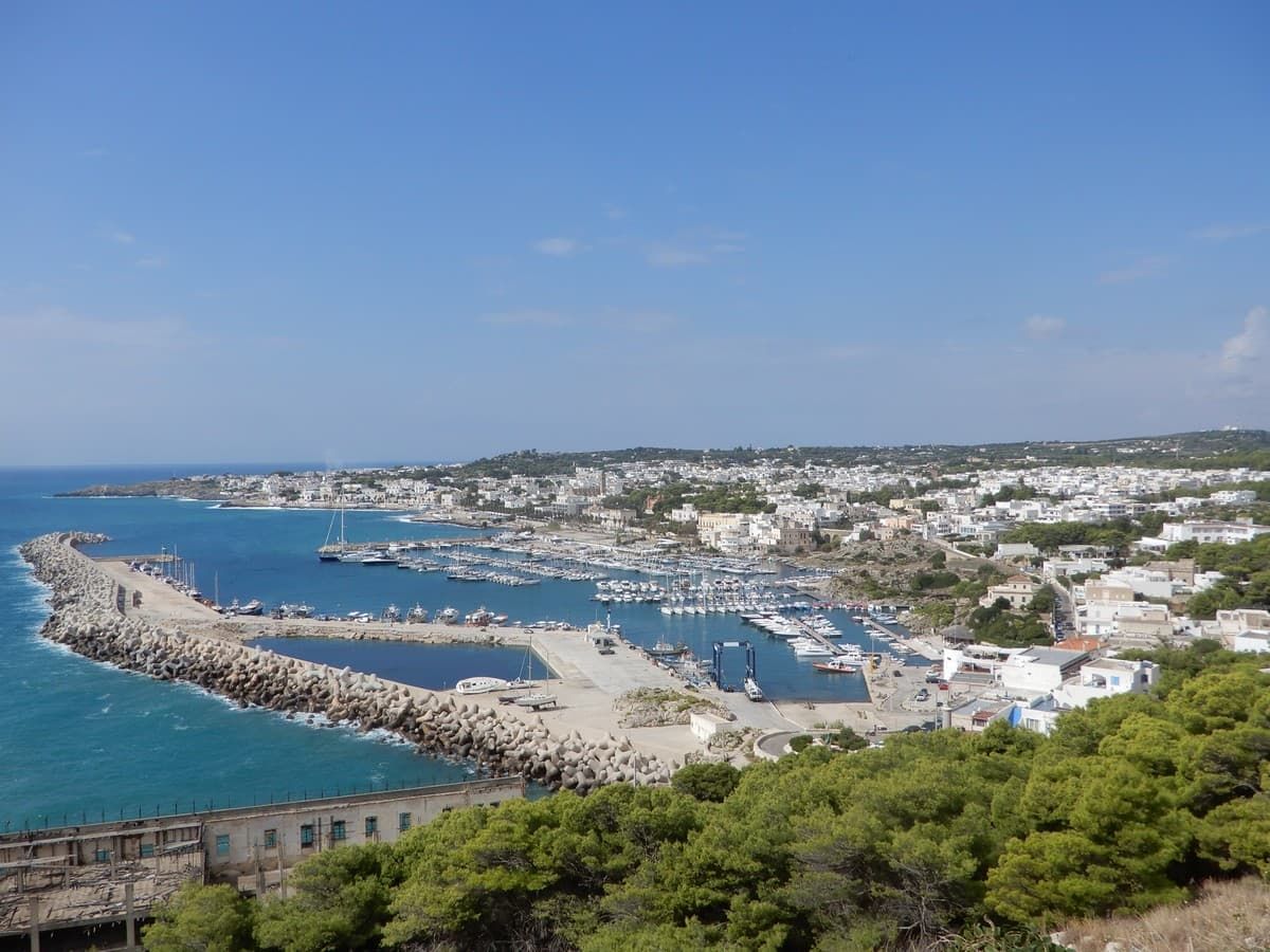  Leuca