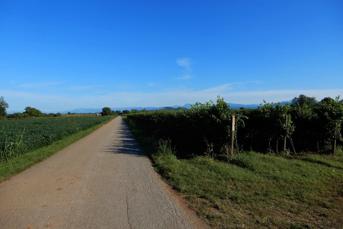 002 Verso Cormons ciclovia aida