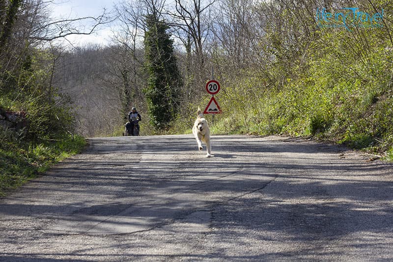 strada secondaria volturno