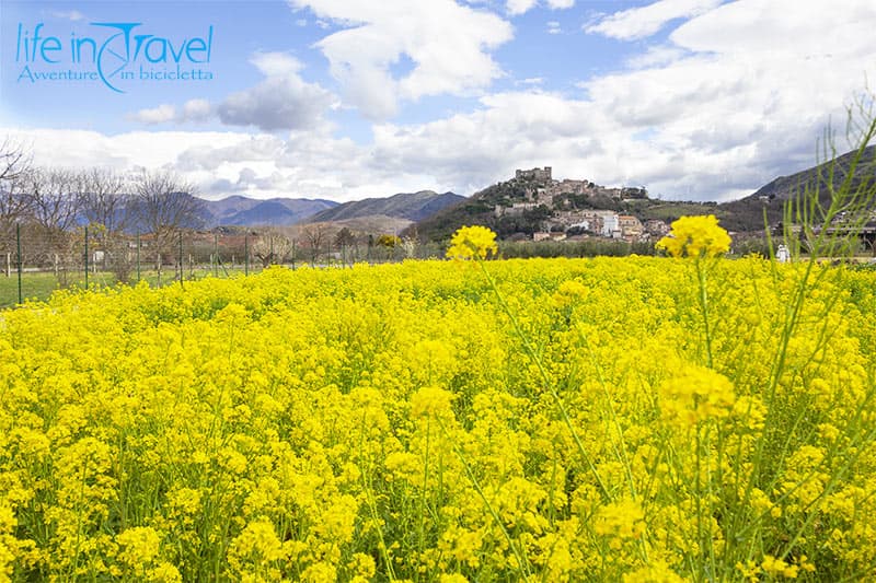 vairano primavera