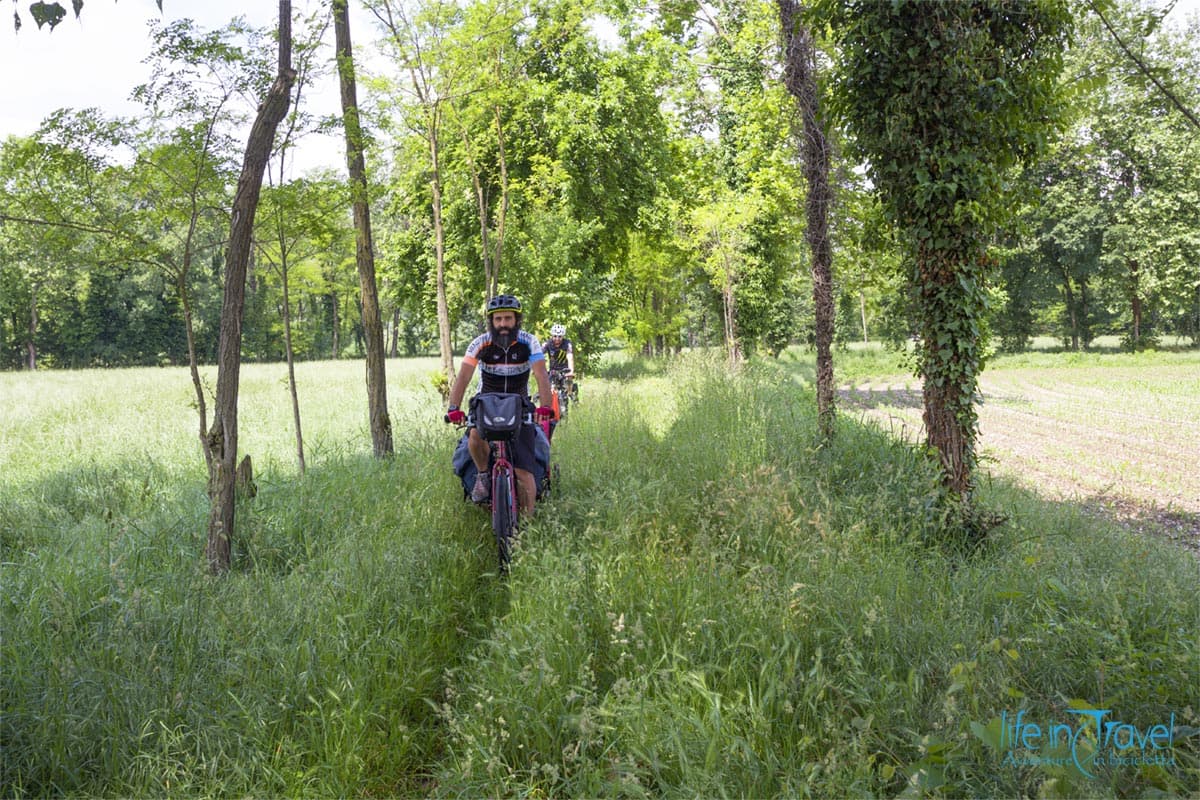 21 ciclovia dell oglio erba alta
