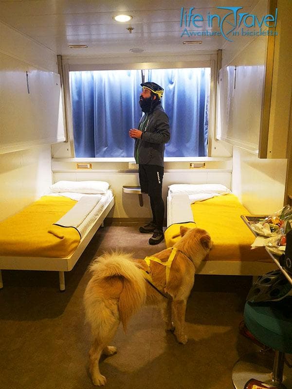 cabina dog friendly corsica ferries