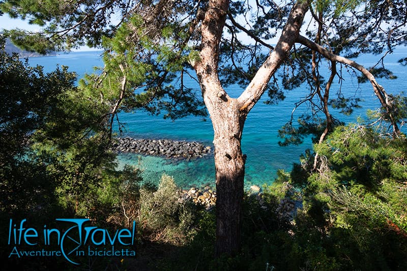 mare sorrento