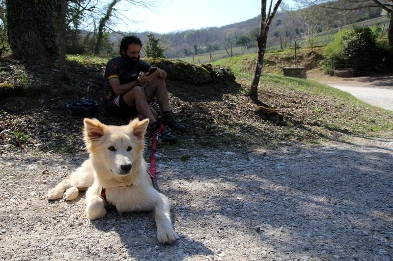 Nala all'eroica