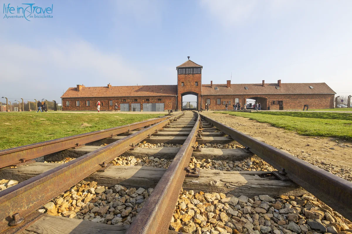 auschwitz birkenau