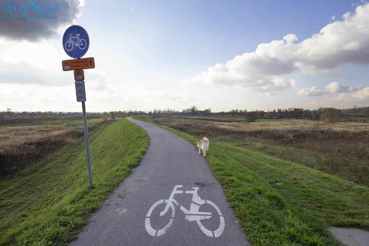 Est europa in bicicletta vistola in bicicletta