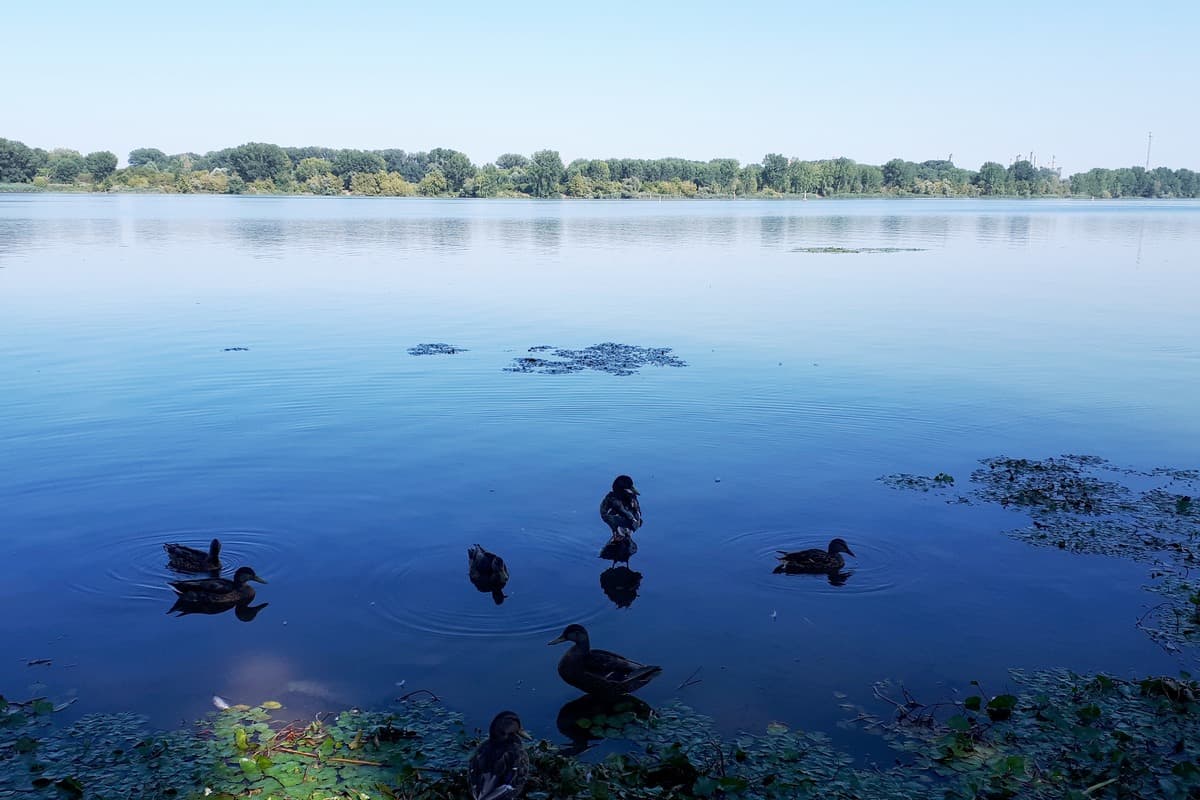 13 Mantova
