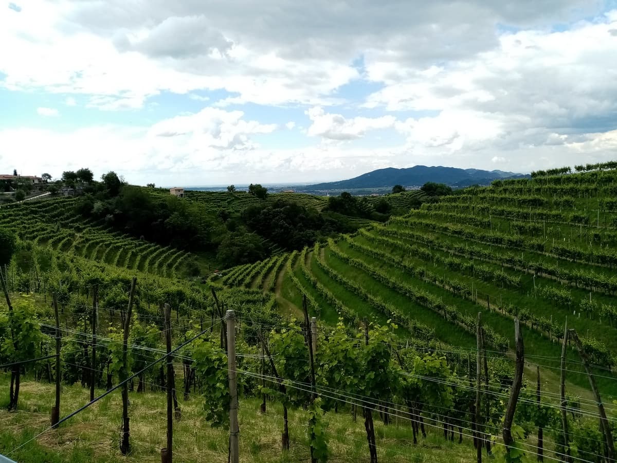 08 veneto in bici