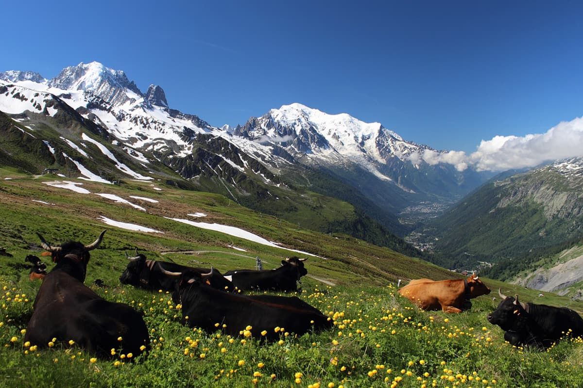 monte bianco giro in bici