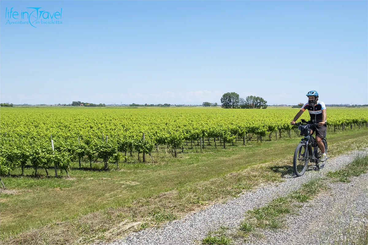 pedalando tra i vigneti