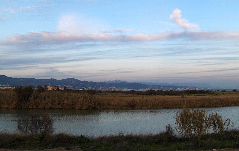 foce del Guadalhorce