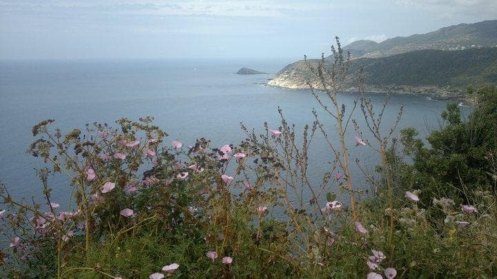 Panorama in Corisca