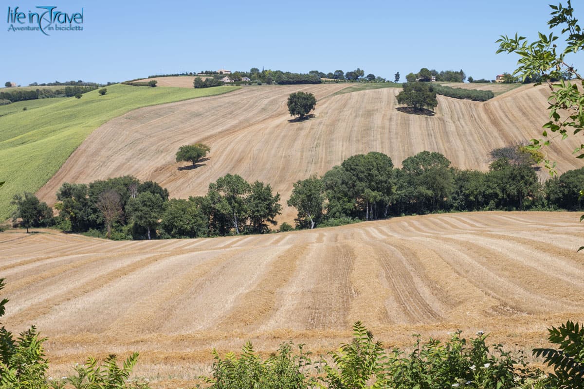 13 colline marchegiane in bici