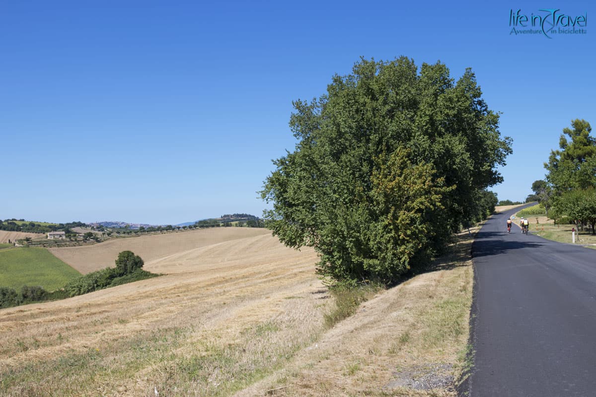 Marche in bicicletta 15 colline marchigiane in bici