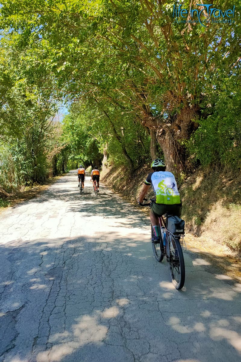 18 pedalando sulle colline marchigiane