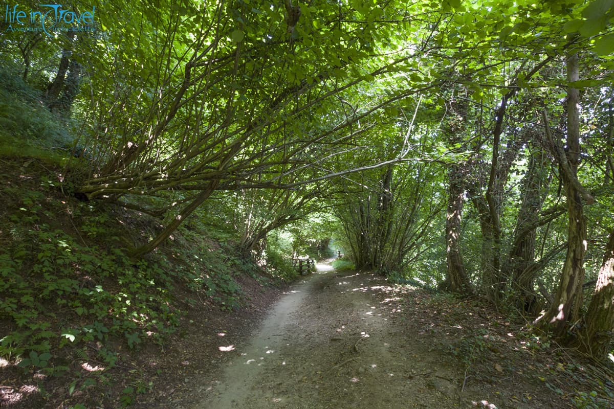 13 single trail sul lambro