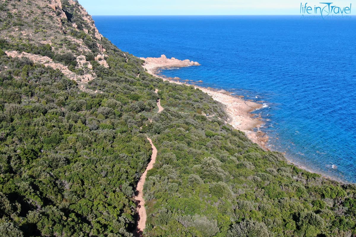 11 orientale sarda in bic macchia mediterraneai