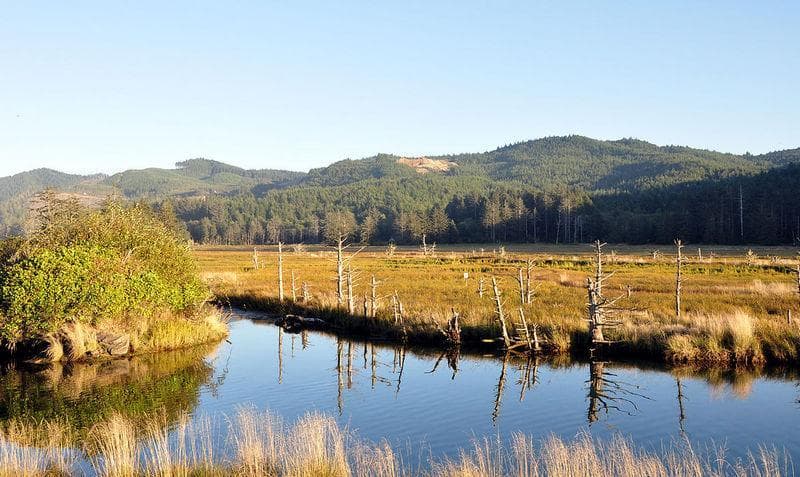 siletz bay