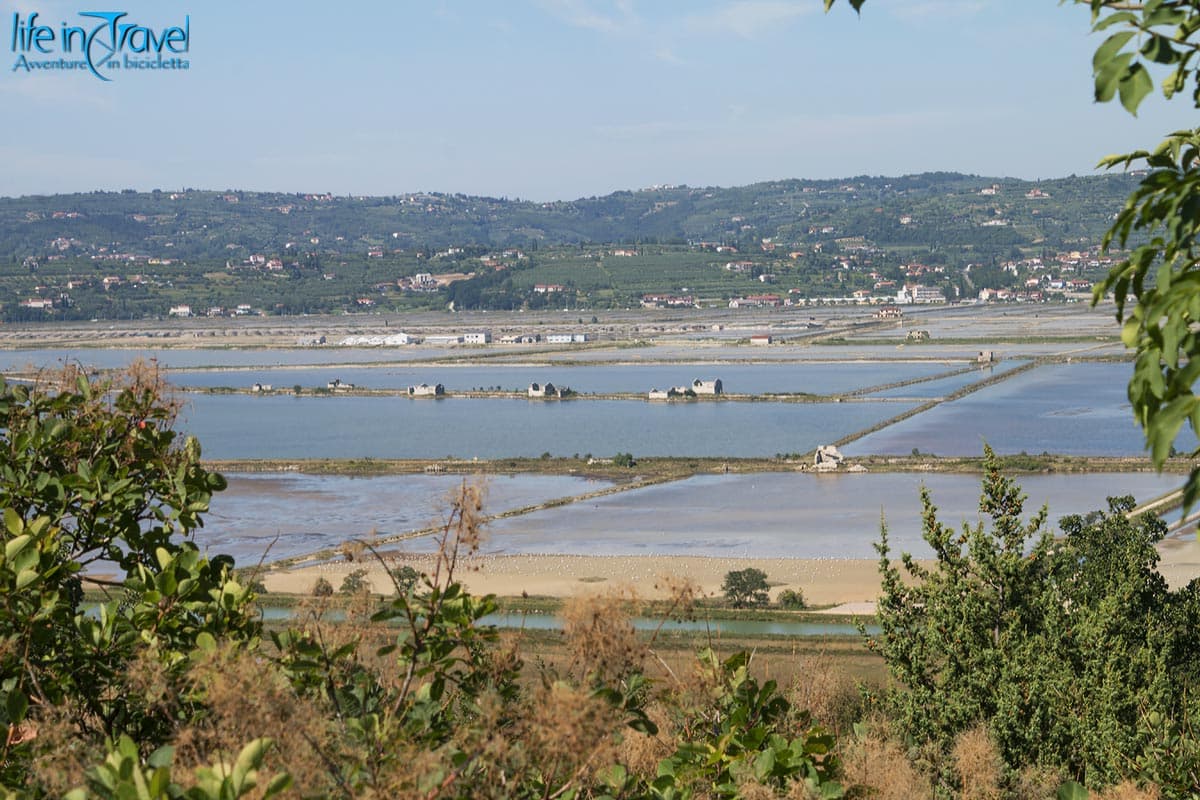 13 parenzana in bici saline di sicciole