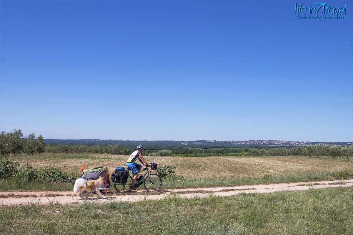 15 parenzana in bici croazia