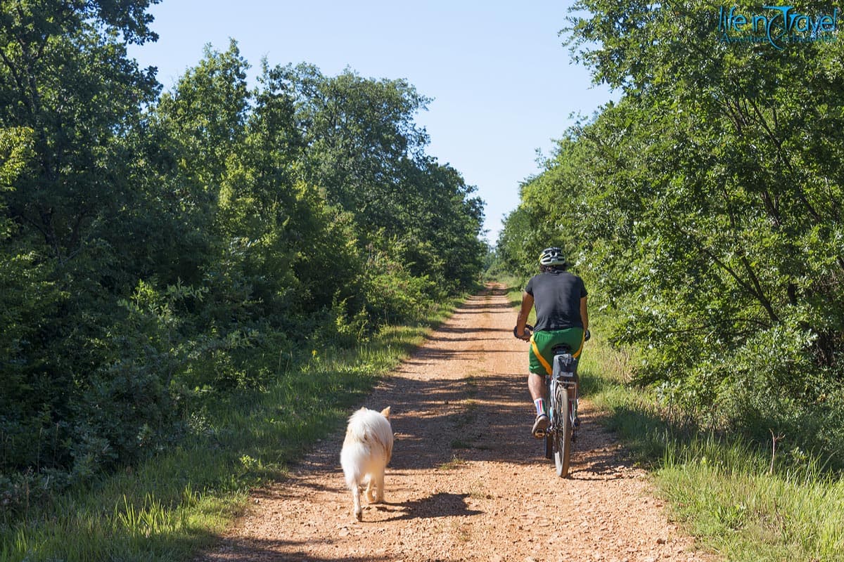 18 parenzana in bici rettilineo