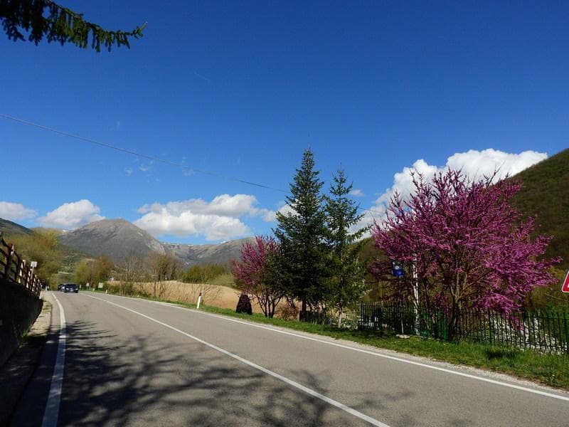 ascoli amatrice spoleto in bici29