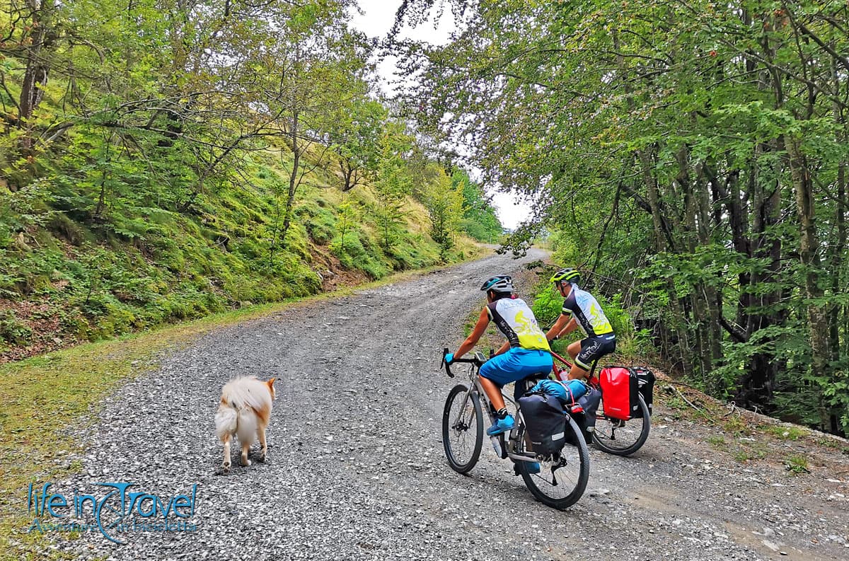 dove trasportare i pesi sulla bici dietro