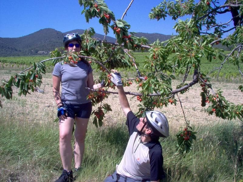 provenza in bici