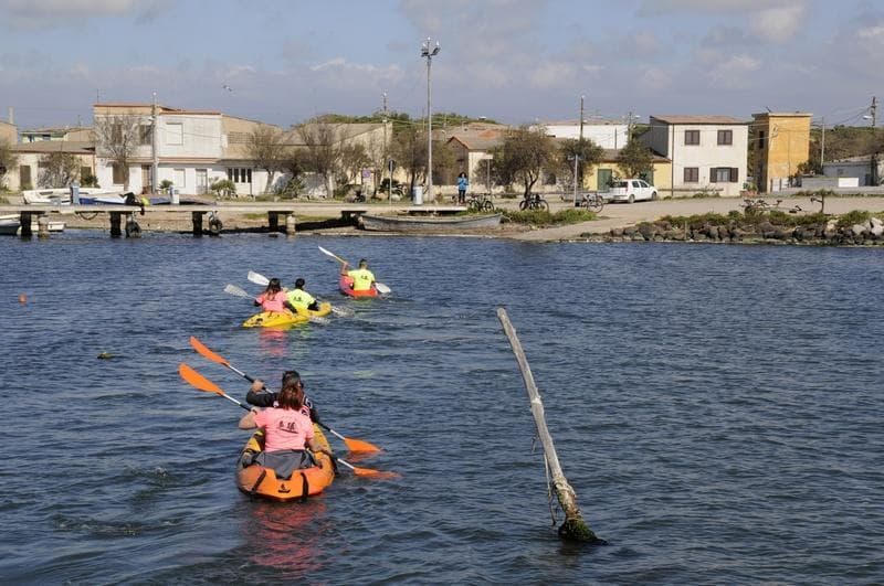 Canoa ad Arborea