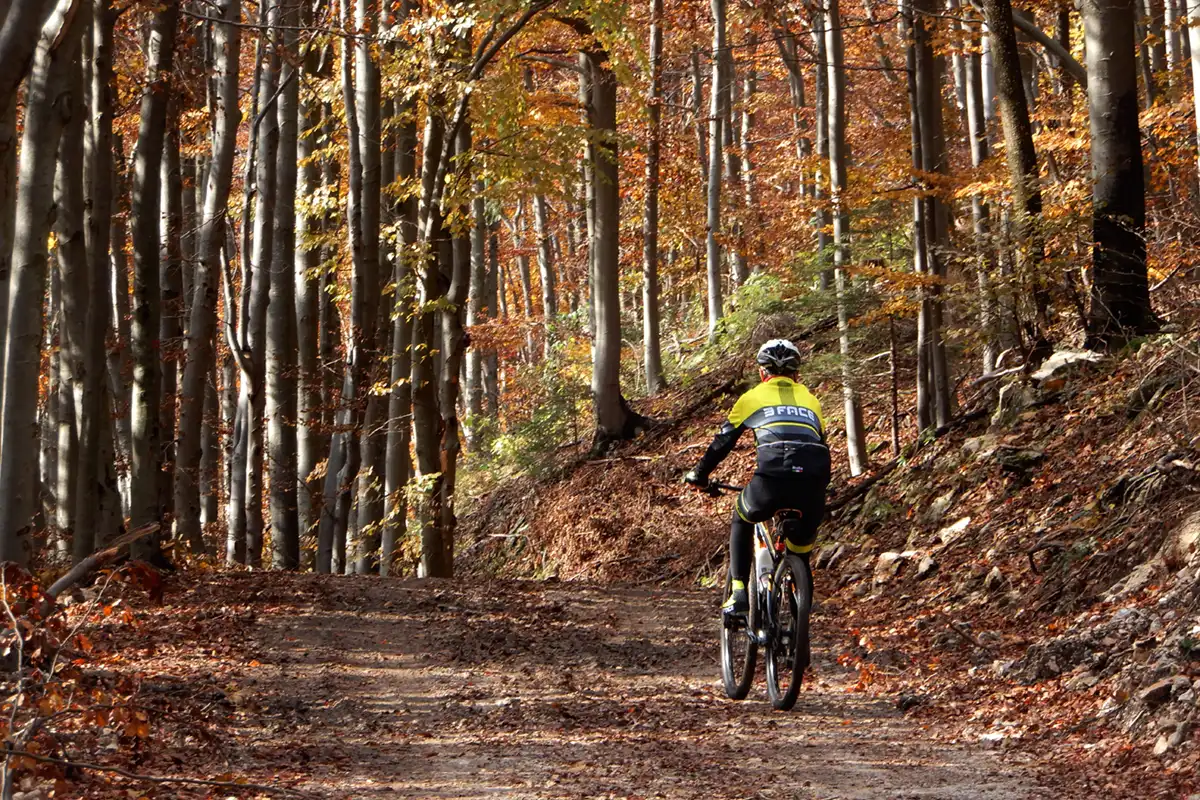 Trnovski Gozd in bicicletta autunno