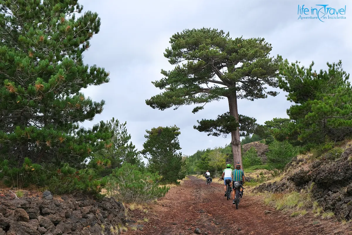 33 sicilia in bicicletta etna