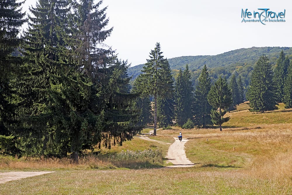 07 poiana brasov