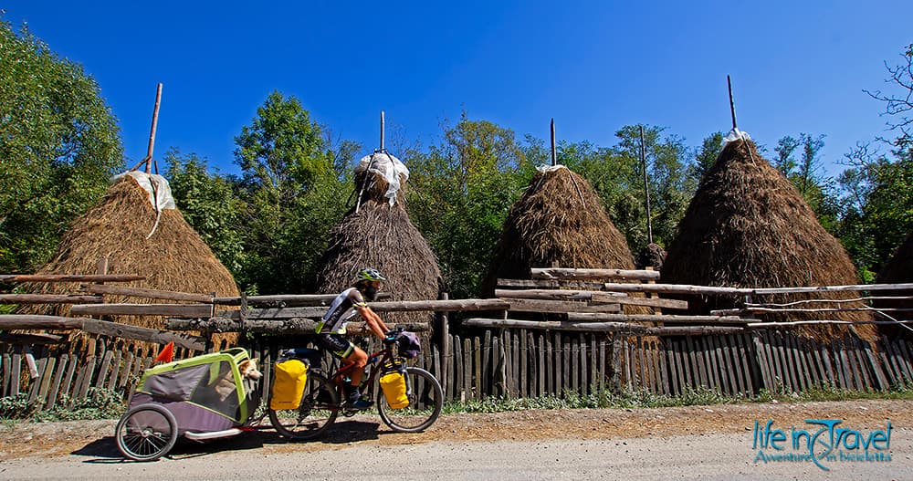 trail degli orsi romania