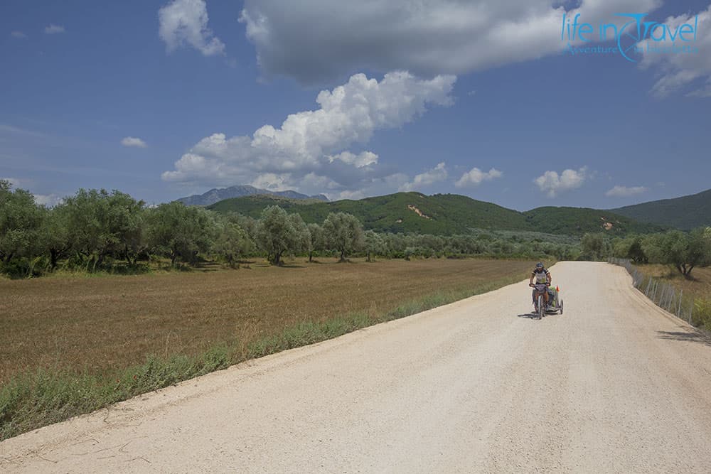 gravel tra gli ulivi