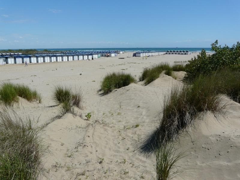 in bici a jesolo