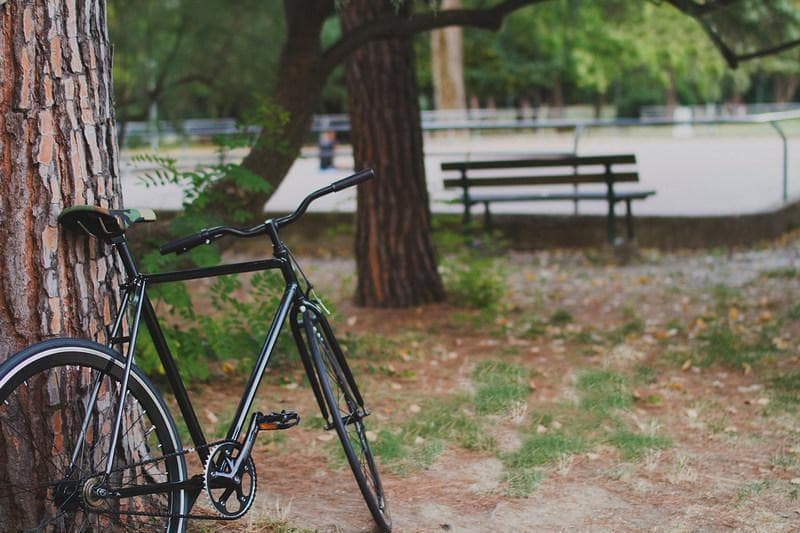 bici scatto fisso 01