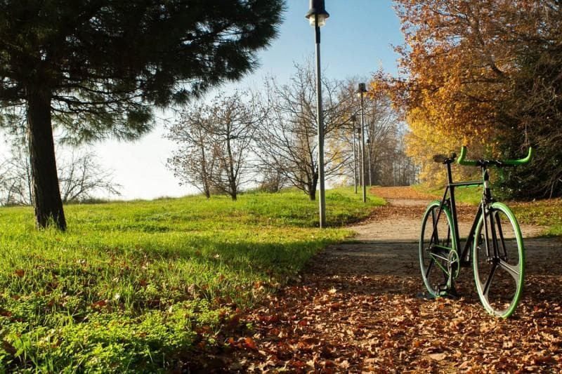 bici single speed