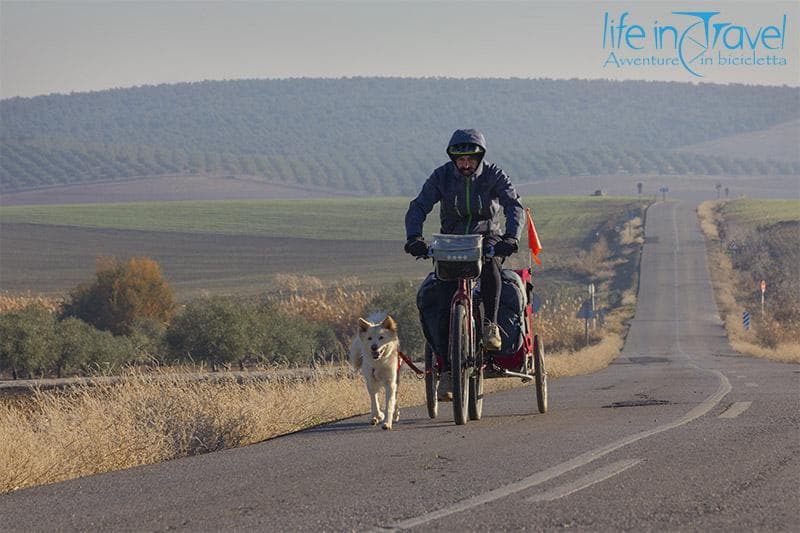 frontale in movimento leo e nala