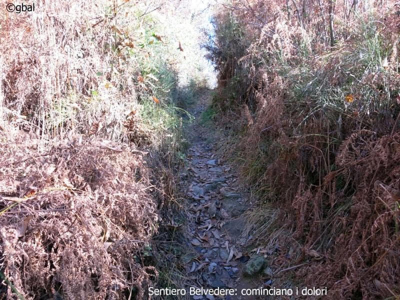 Sentiero Belvedere