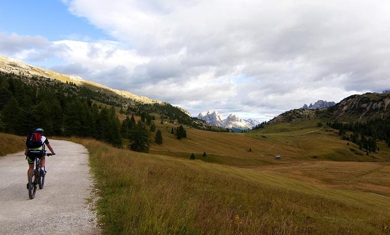 foto mtb reflex