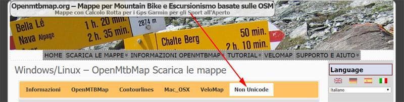 non unicode