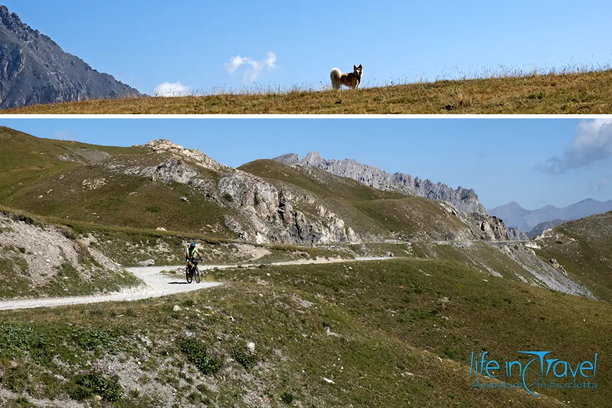 nala leo in bici