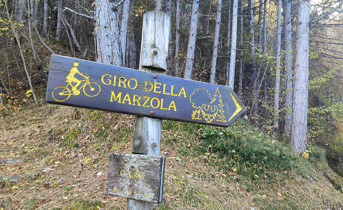 3 cimirlo campergheri